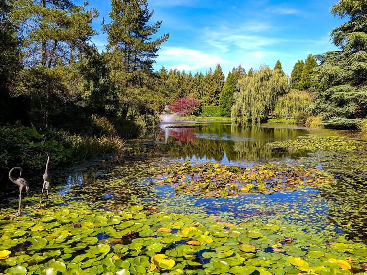 VanDusen Botanical Garden