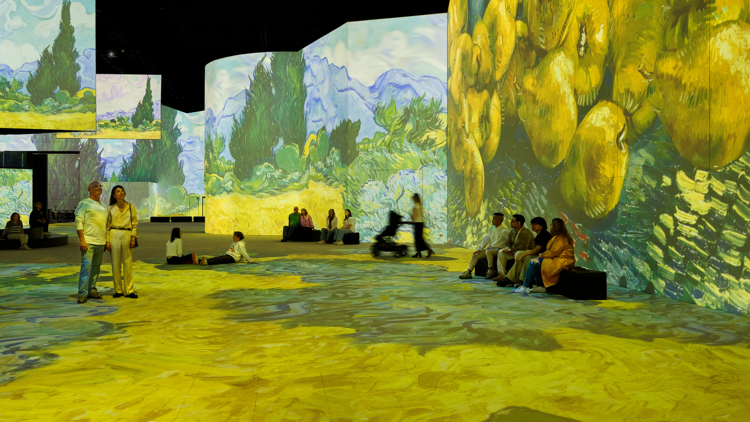 Van Gogh projected at the Lume