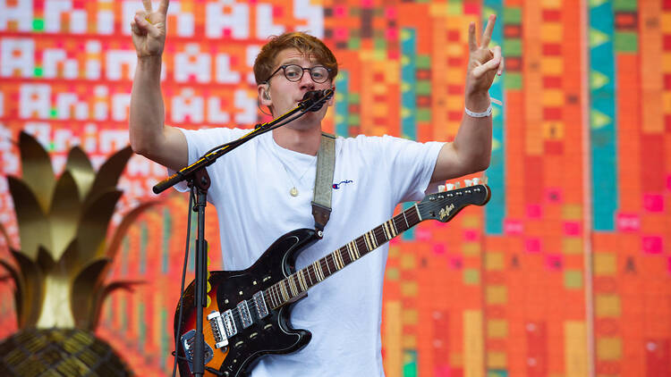 Glass Animals performing live