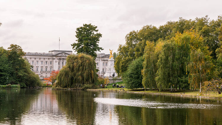 St James' Park 