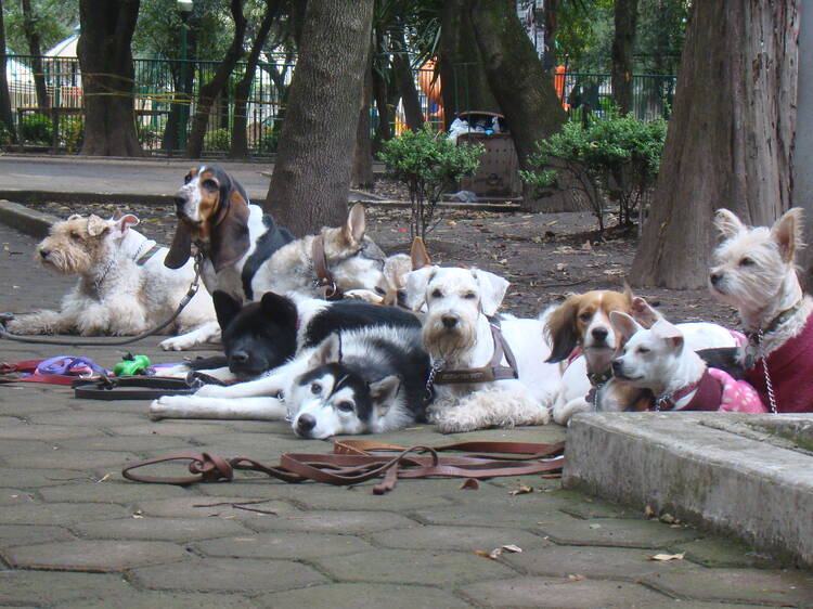 Parque España