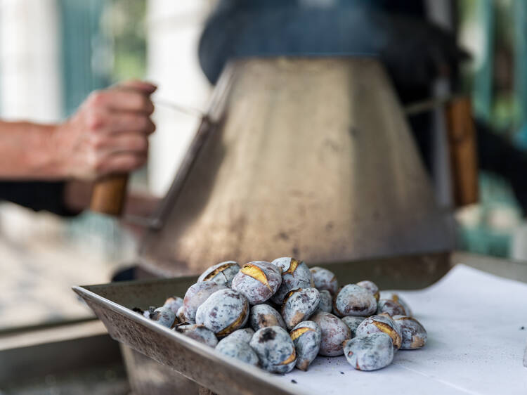 São Martinho: há festas e castanhas por toda a cidade