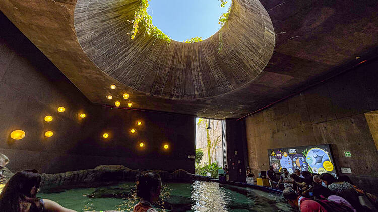 Gran Acuario Mazatlán: Mar de Cortés 