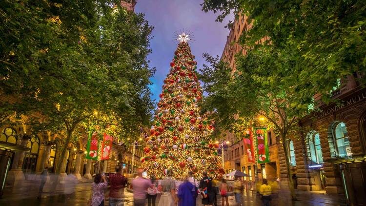 Martin Place christmas tree