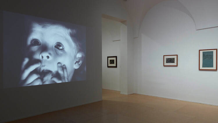 'En el aire conmovido...' exposición Museo Reina Sofía