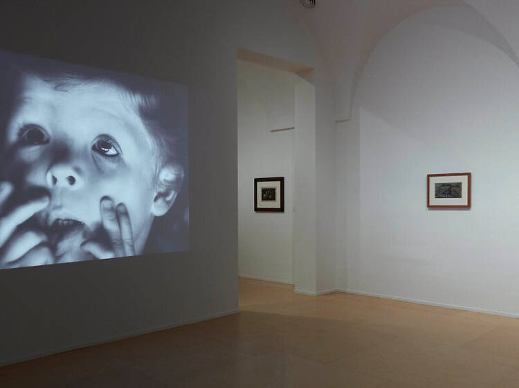 En el aire conmovido, del Reina Sofía