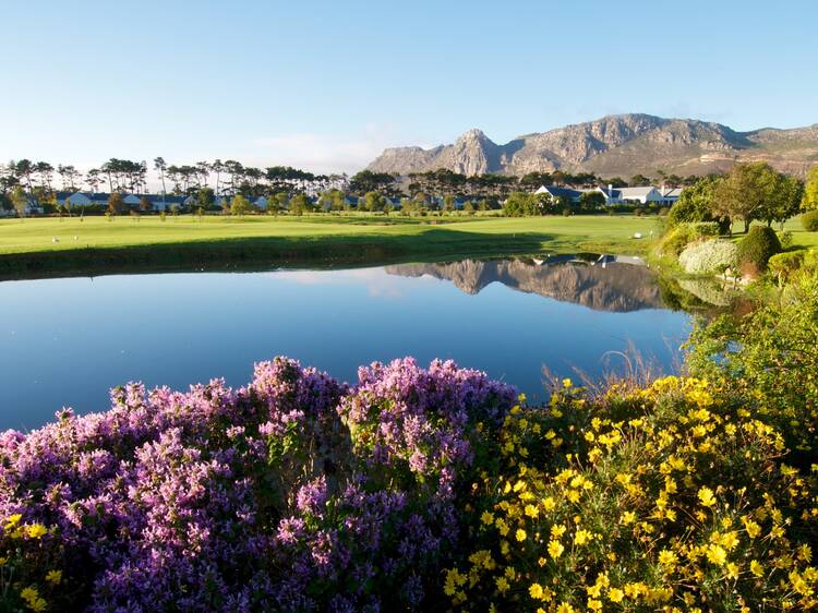 Steenberg Golf Club