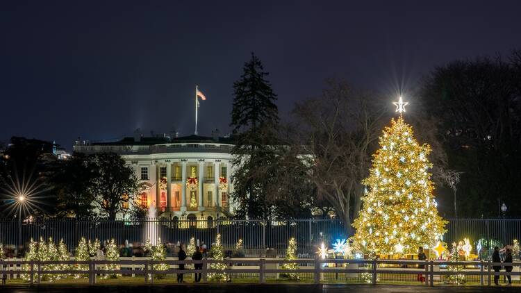 Where to see Christmas lights in Washington, D.C.