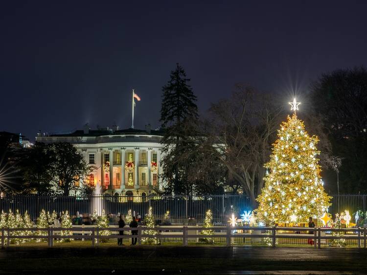 Where to see Christmas lights in Washington, D.C.