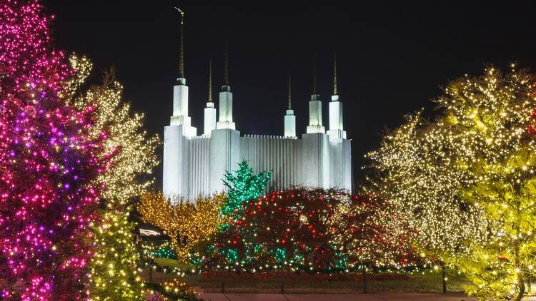 The Festival of Lights at Washington D.C. Temple