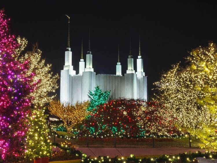 The Festival of Lights at Washington D.C. Temple