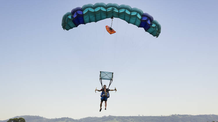 Skydivers parachuting back to land with Sydney Skydivers, Picton.