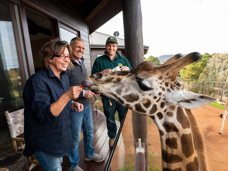 Jamala Wildlife Lodge, ACT