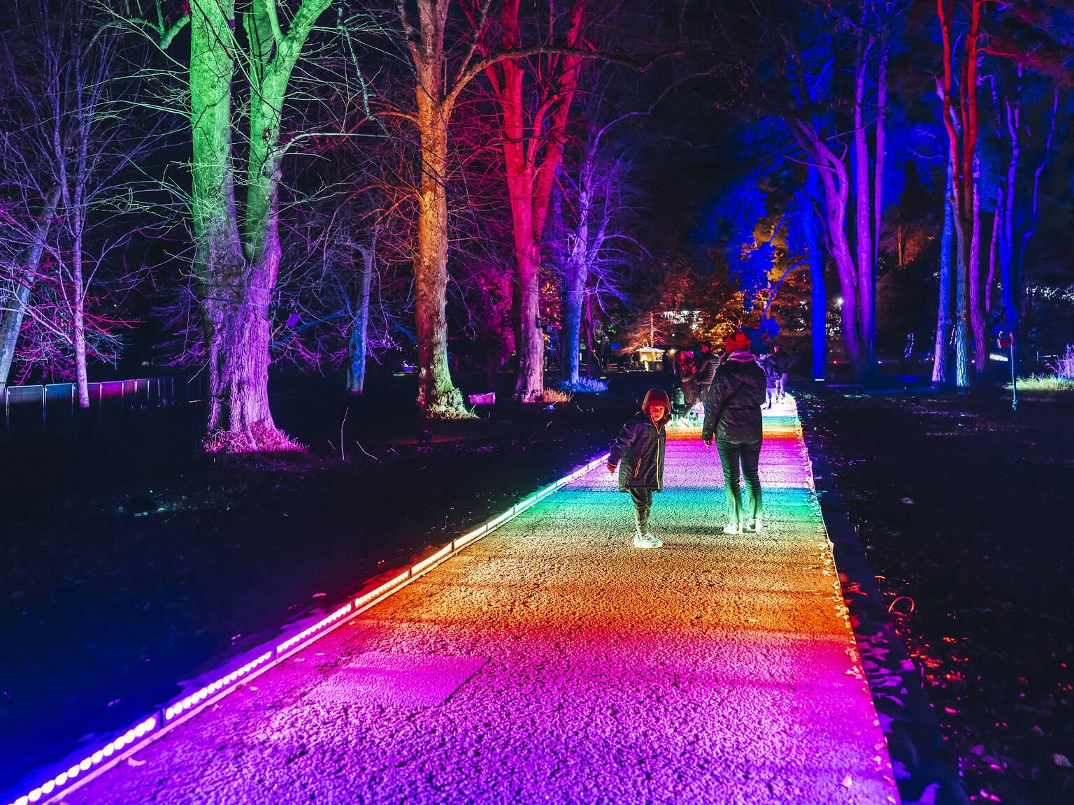 10 of the Most Dazzling Christmas Light Trails in the UK for 2024