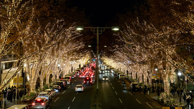 Omotesando Illumination