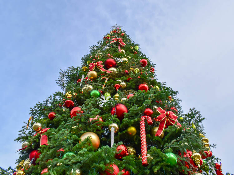 Badalona tindrà un arbre de Nadal de més de 42 metres (però no serà el més alt d’Espanya)