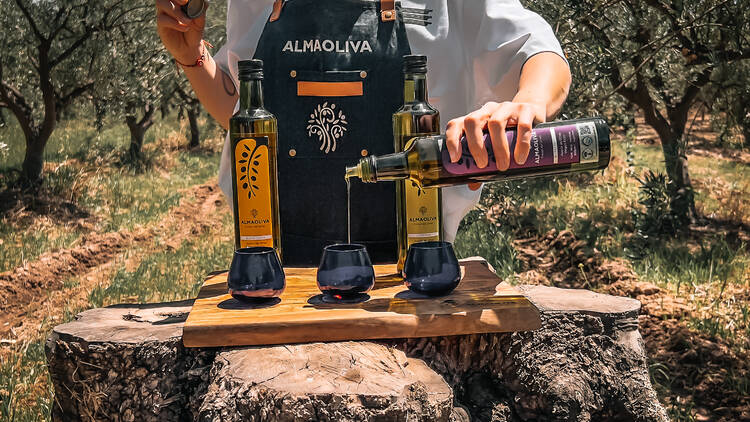 Visitar una olivícola