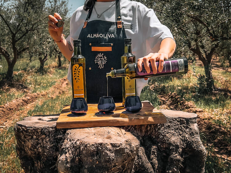 Visitar una olivícola