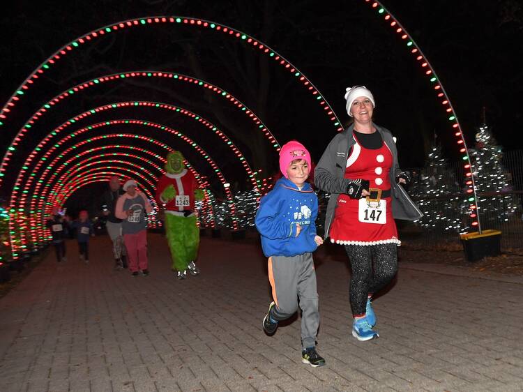 Brookfield Zoo Reindeer Run