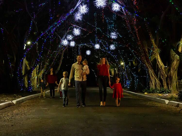 The best Christmas light shows in Miami to brighten your holiday season