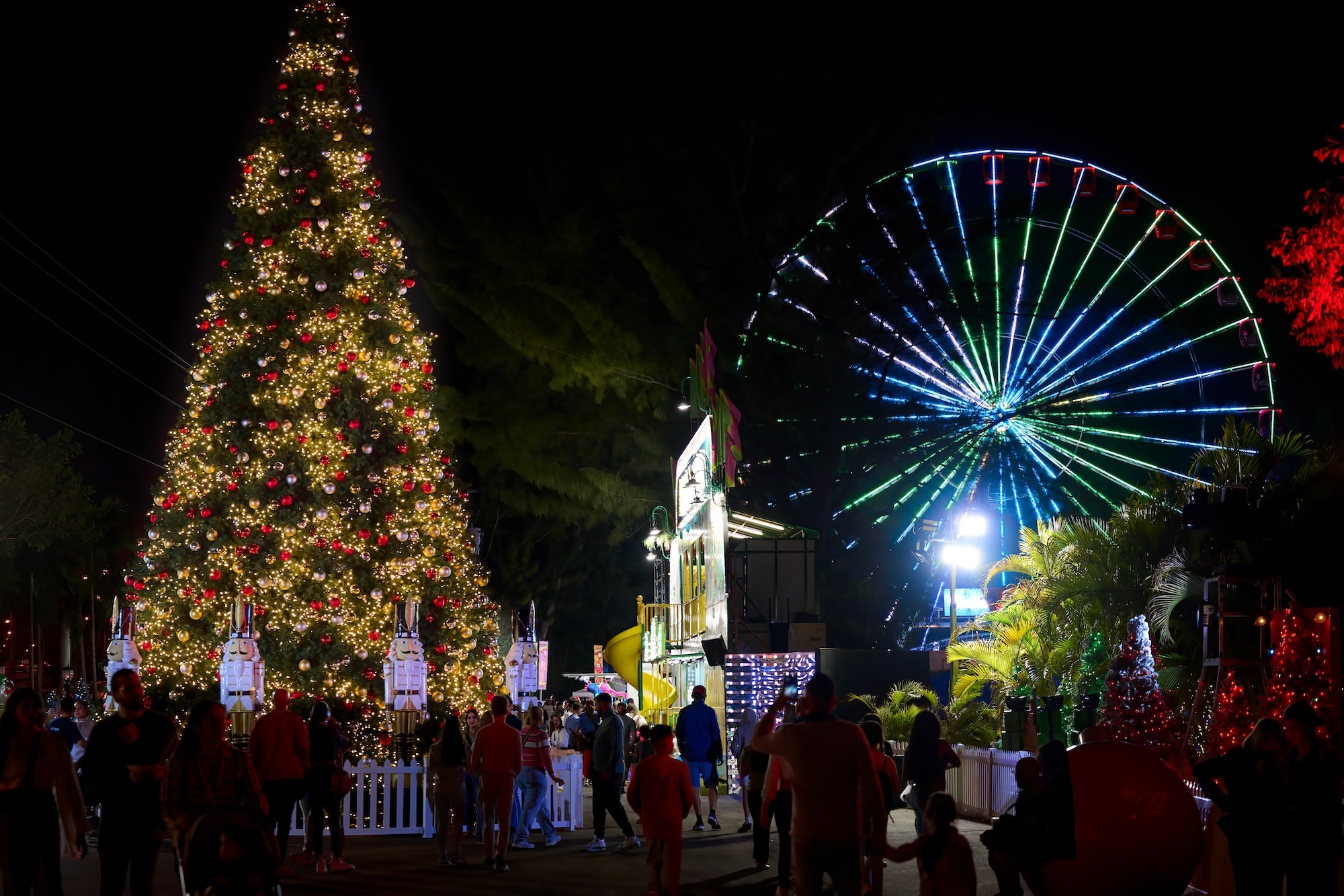 Christmas events in Miami: the best holiday happenings - Time Out