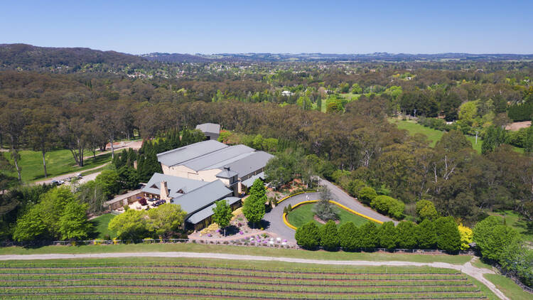 Centennial Vineyards, Bowral