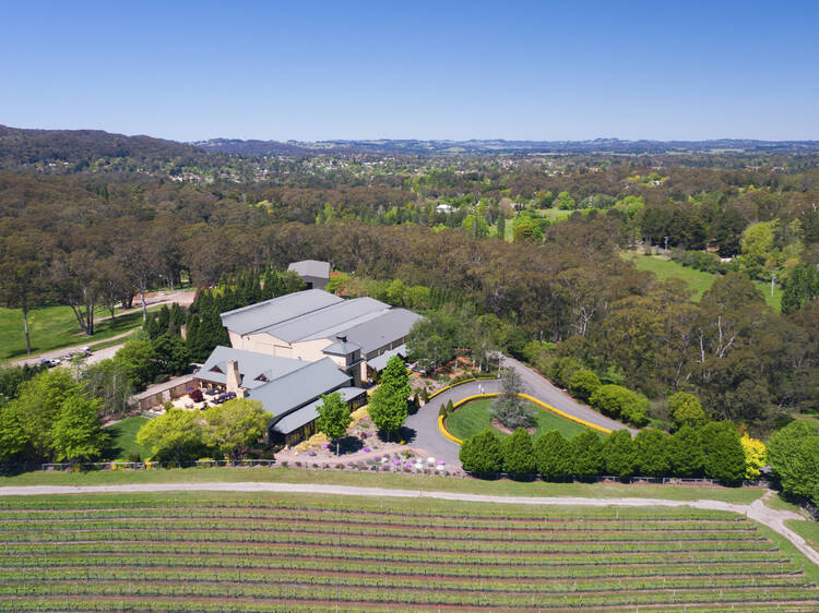 A huge concert series is taking over a dreamy NSW vineyard just outside of Sydney this summer