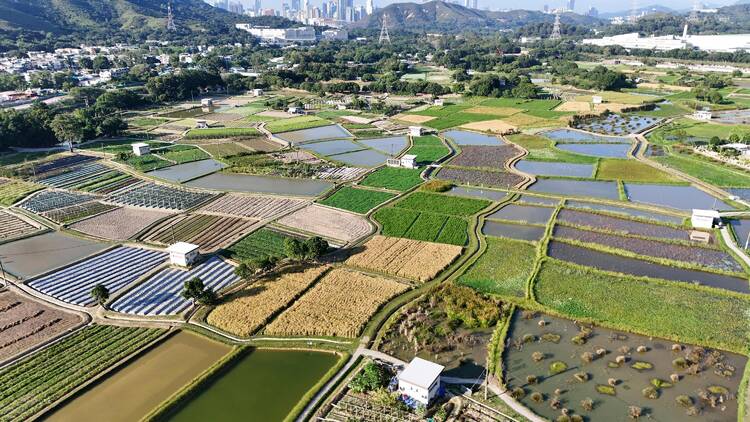 Long Valley Nature Park 塱原自然生態公園