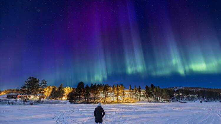 Young girl watching purple, blue and green Northern lights (aurora borealis) above Ounasjärvi lake in Hetta, Lapland, Finland