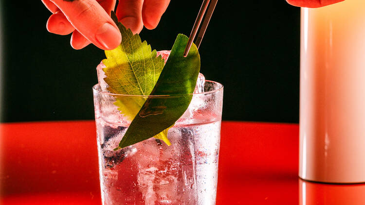 Sip on a refreshing cocktail at Seed Library