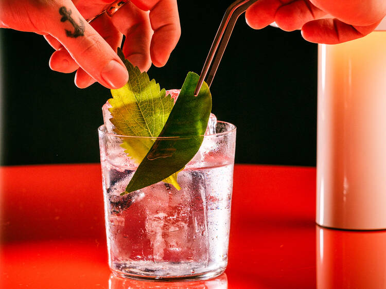 Sip on a refreshing cocktail at Seed Library