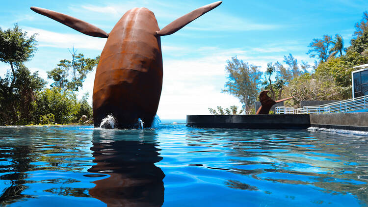 Museo Nacional de la Ballena (MUNBA)