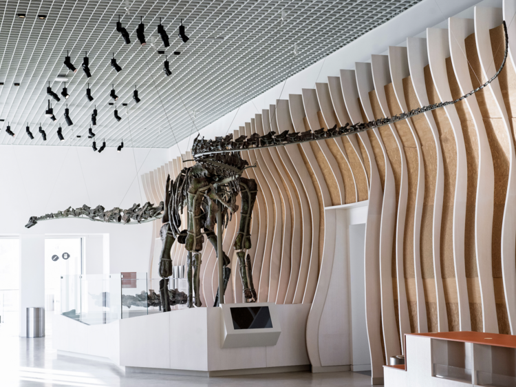 Visit the Natural History Museum’s new welcome center—with a “green” dino skeleton