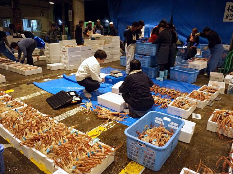 Peek into a lively evening fish auction at Hashidate Fishing Port