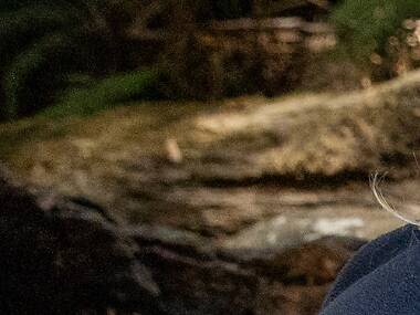 Feel-good news: a young platypus has been returned to the wild after ten months of rehabilitation Feel-good news: a young platypus has been returned to the wild after ten months of rehabilitation