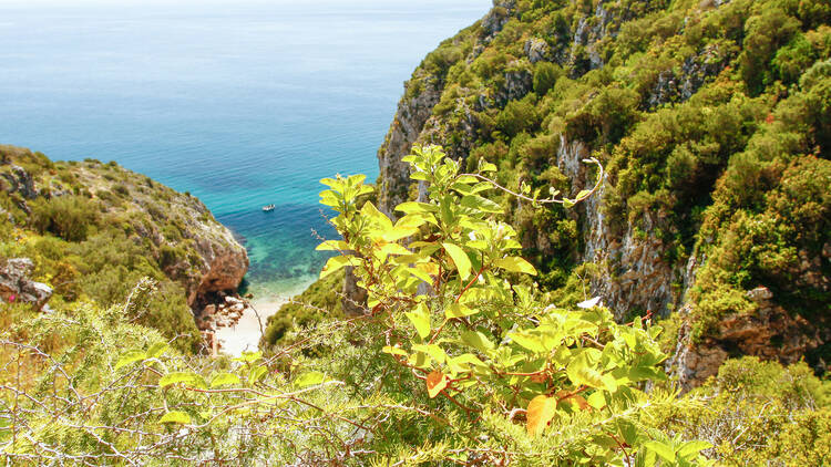 Serra da Arrábida