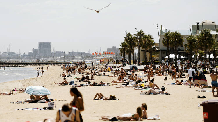 St Kilda Beach and foreshore on a hot day.