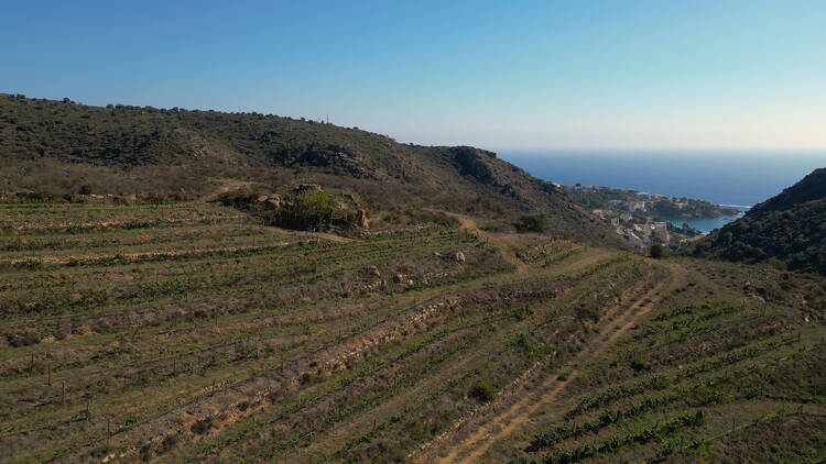 DO EMPORDÀ: Tocada per la tramuntana