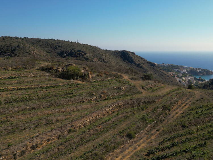 DO EMPORDÀ: Tocada per la tramuntana