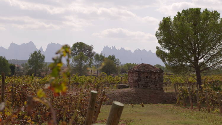 DO PLA DE BAGES: La familia unida