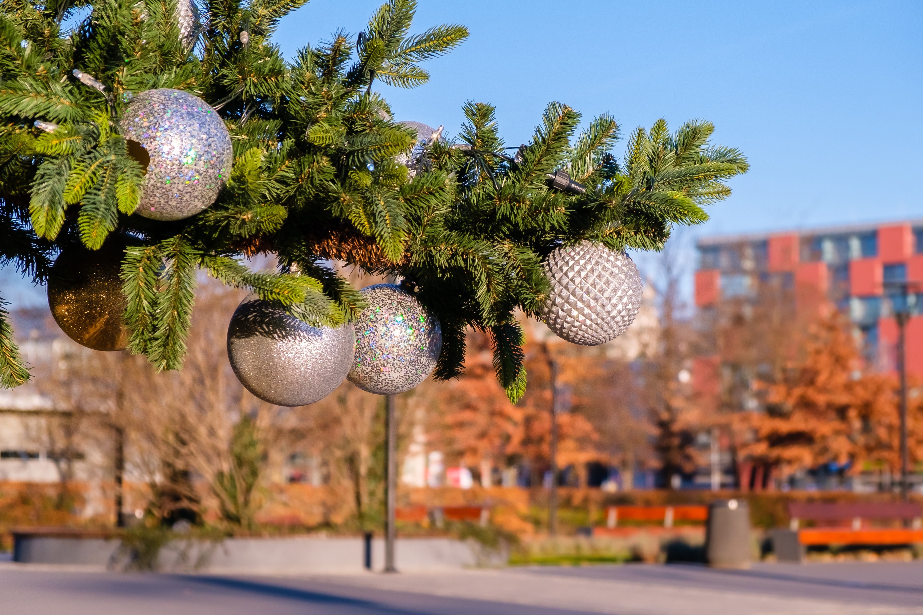 Will it snow in Montreal this November? Here’s when cold weather is predicted to hit