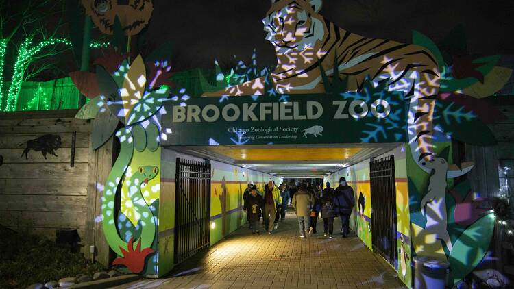 Zoo After Dark: Holiday Sip & Stroll