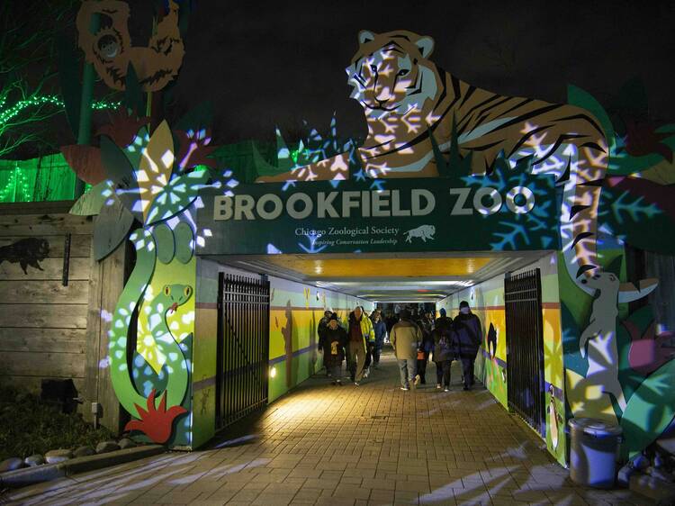 Zoo After Dark: Holiday Sip & Stroll