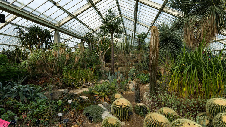 Kew Gardens (Photograph: Laura Gallant for Time Out)