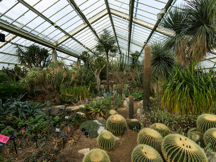 Kew Gardens