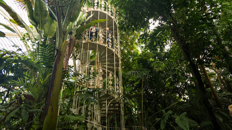 Kew Gardens (Photograph: Laura Gallant for Time Out)