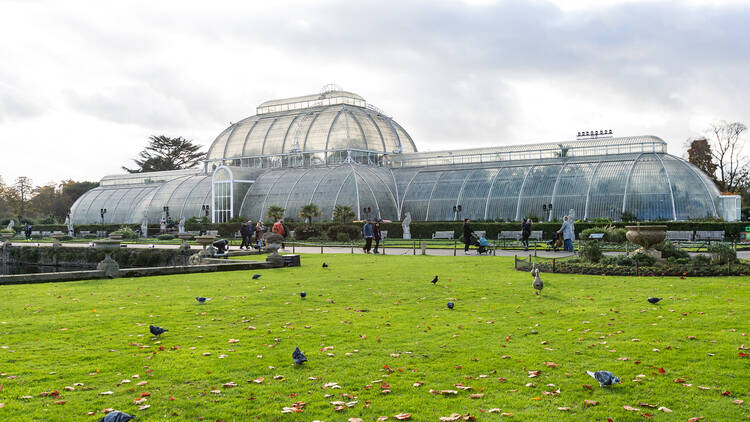 Go flower-spotting around Kew Gardens