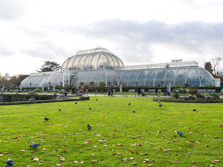 Go flower-spotting around Kew Gardens