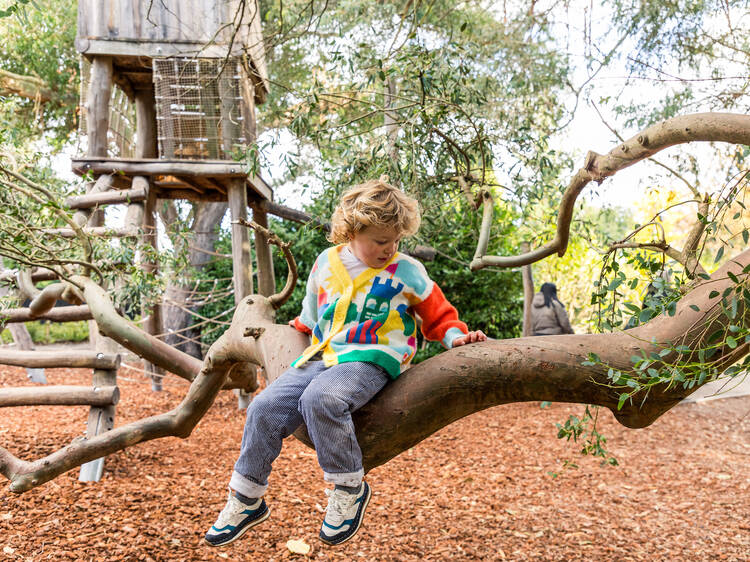 The 50 best things to do in London with kids this autumn