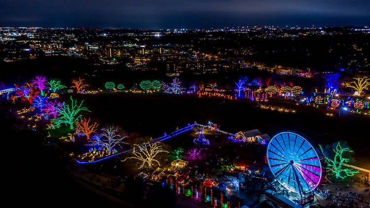 Trail of Lights